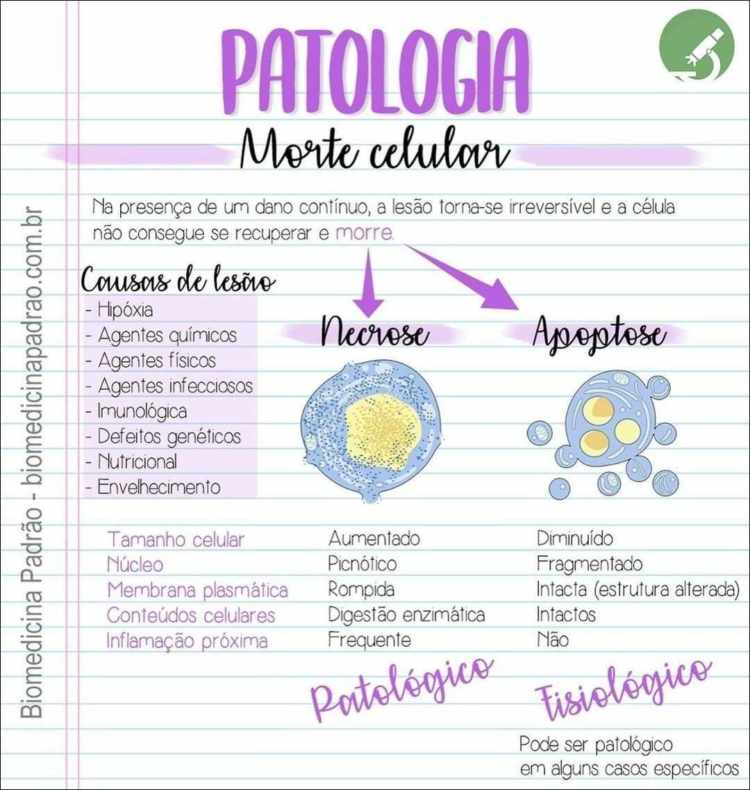 Mapa mental com Morte celular no centro, ramificando-se para Na presença de um dano contínuo a lesão tornase irreversível e a célula, não consegue se recuperar e morre, Causas de lesão, Hipóxia