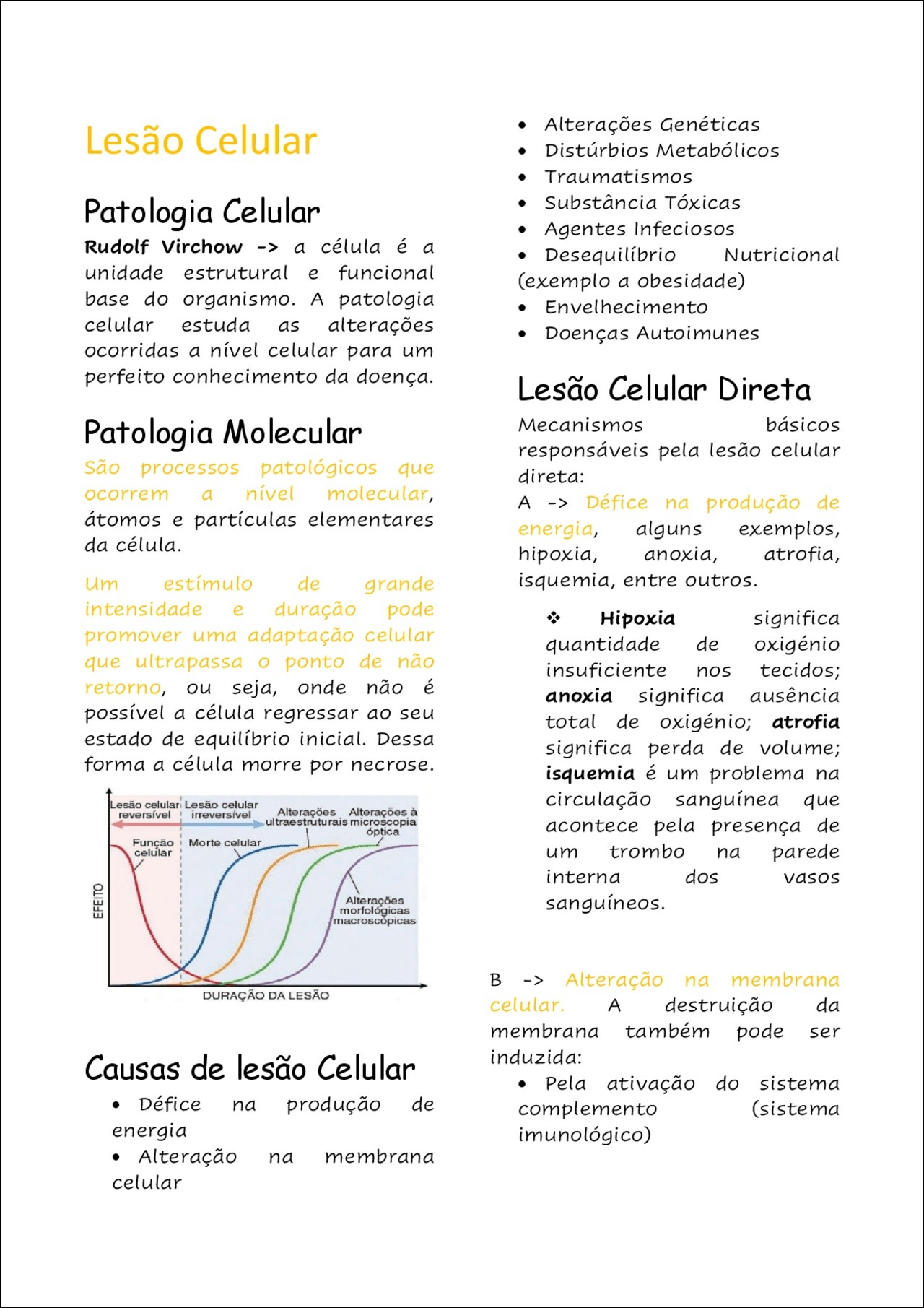 Mapas Mentais Sobre PATOLOGIA - Study Maps