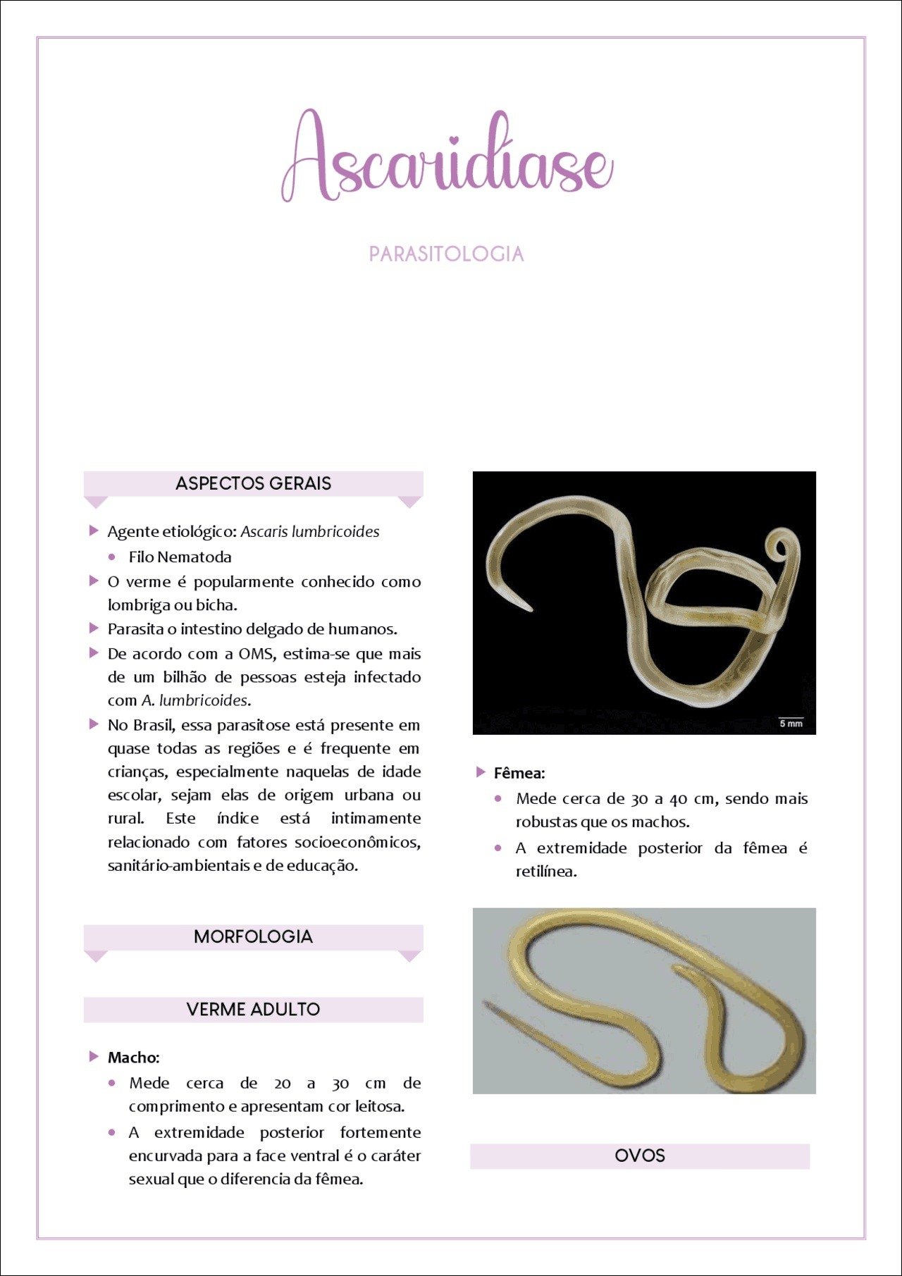 Mapa mental com ASPECTOS GERAIS no centro, ramificando-se para Ascaridiase e PARASITOLOGIA