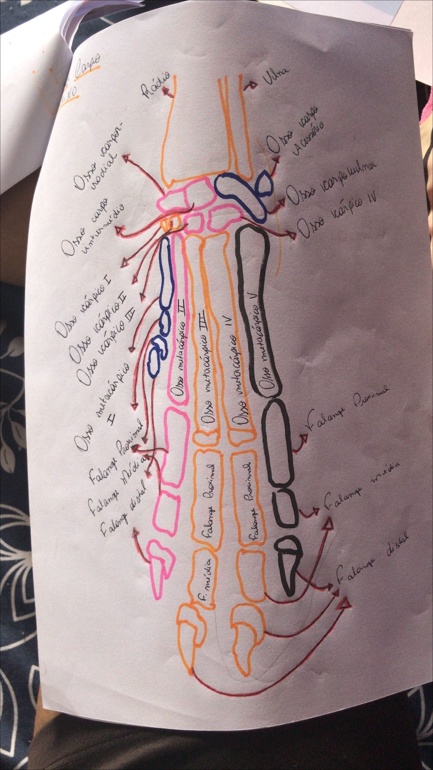 Mapa mental com Osso carpo no centro, ramificando-se para Osso carpor e Osso cárpico I