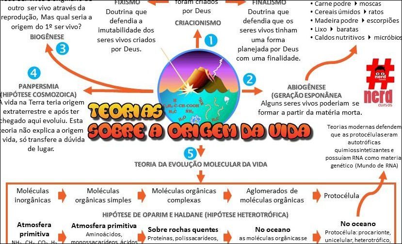 Mapas Mentais Sobre Criacionismo Study Maps