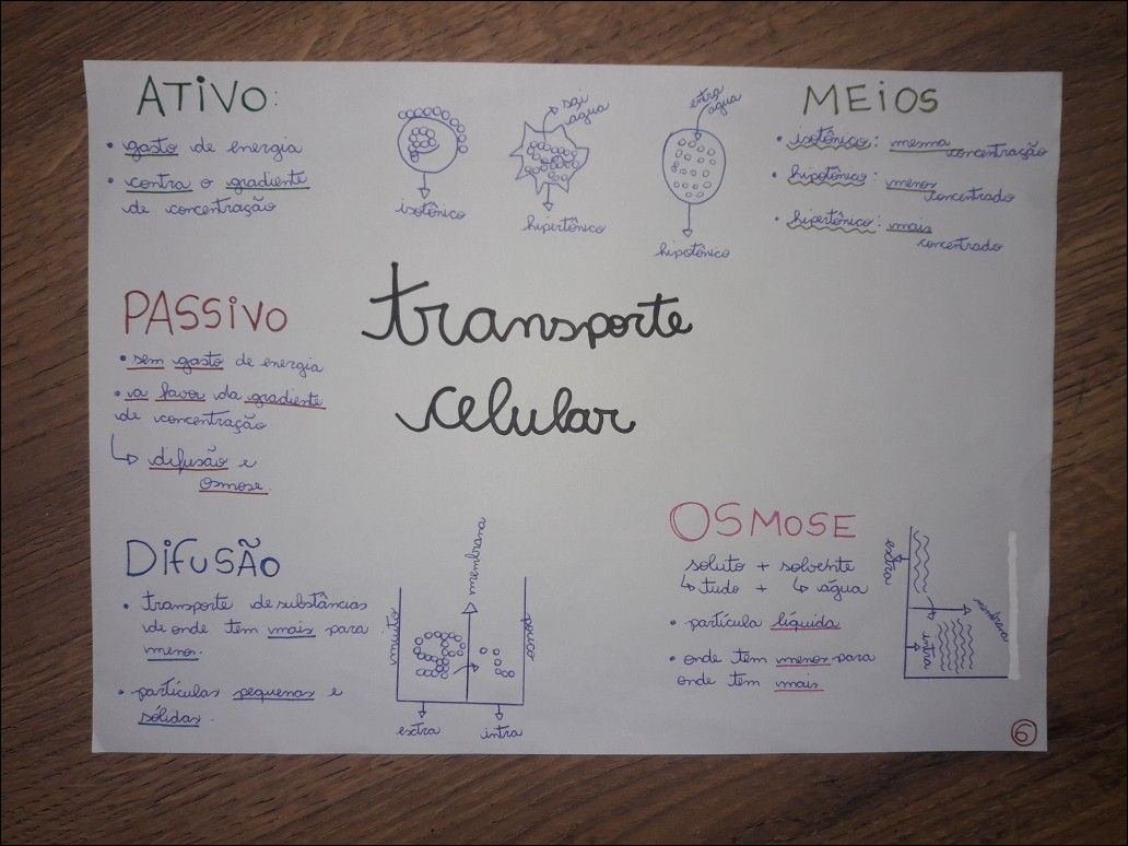 Mapa mental com concentração no centro, ramificando-se para ATiVO e PASSiVO