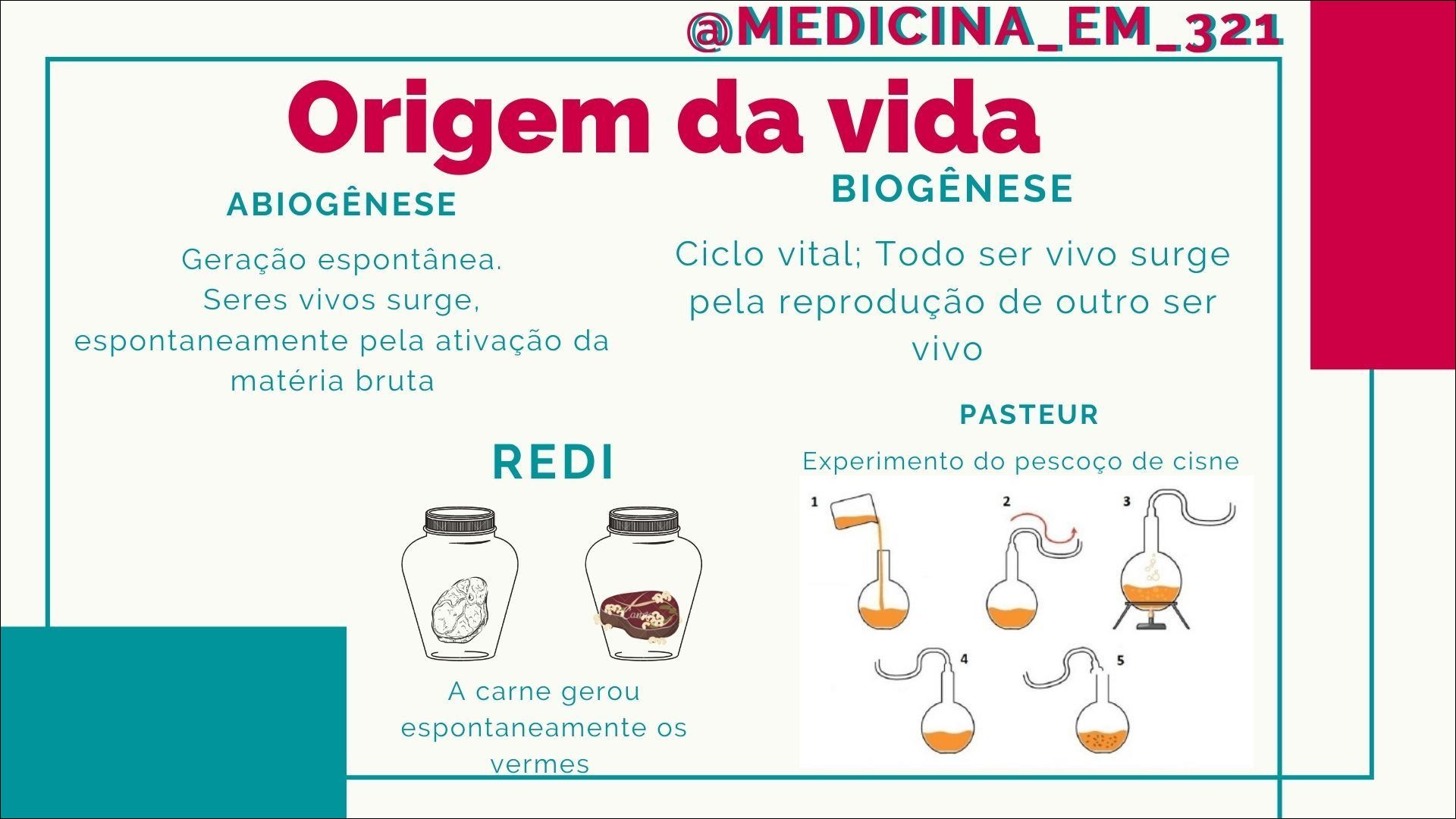 Trabalho CMSP, PDF, Abiogênese