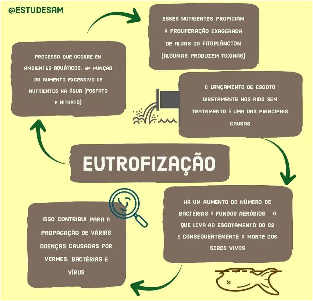 Mapa mental com EUTROFIZAÇÃO no centro, ramificando-se para ESSES NUTRIENTES PROPICIAM e A PROLIFERAÇÃO EXAGERADA