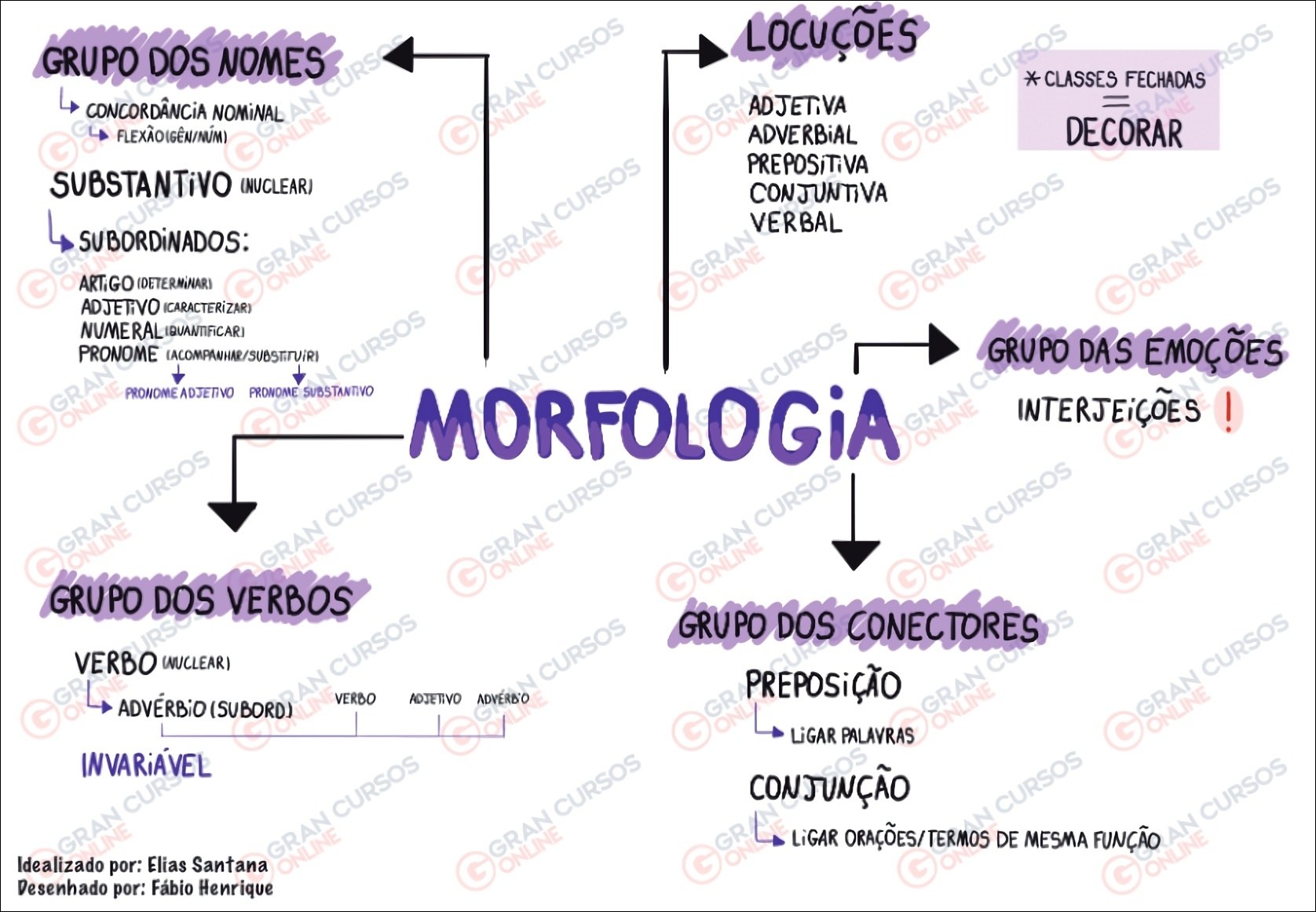 3. morfologia