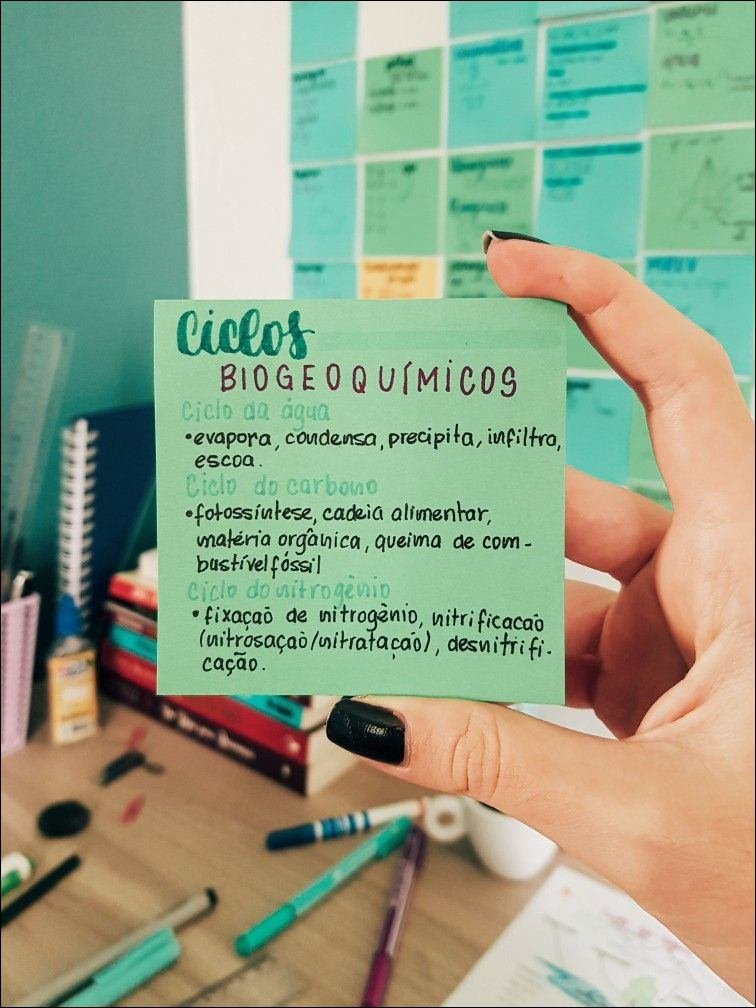 Ciclos Biogeoquímicos