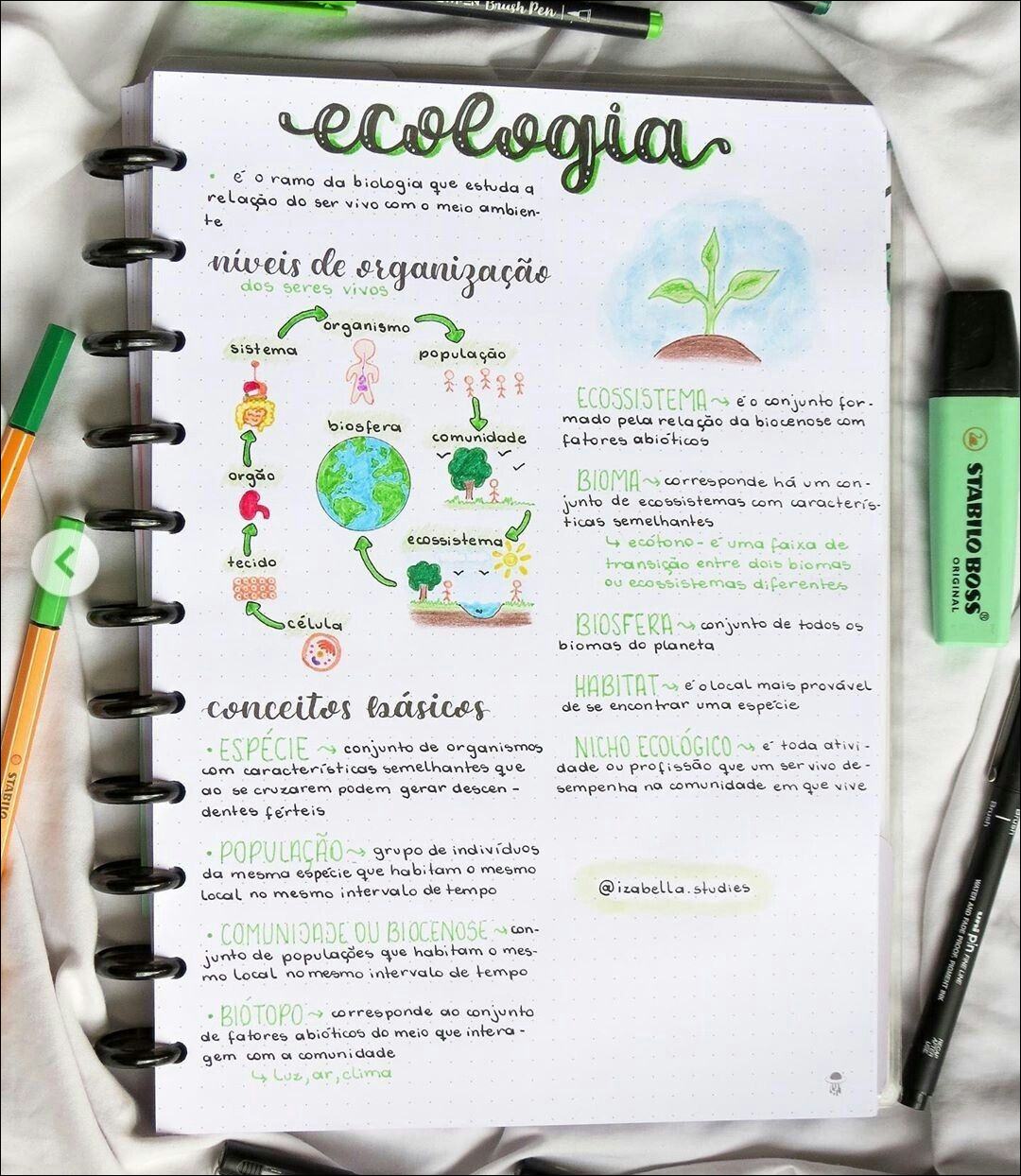 Mapa mental com a palavra Ecologia no centro, ramificando-se para BrushPen, Biologia e Meio Ambiente