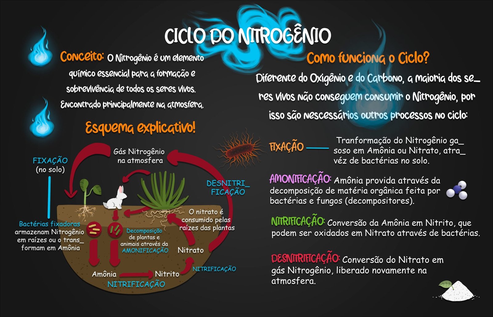 Mapa mental com Ciclo do Nitrogênio no centro, ramificando-se para Conceito e Nitrogênio