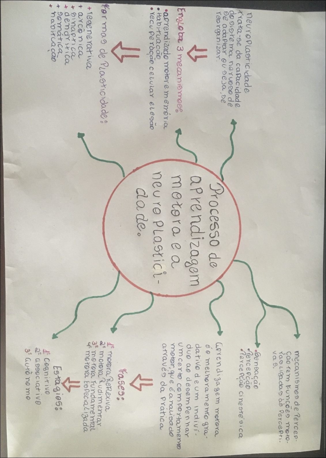Mapa mental com Percepção no centro, ramificando-se para Mecanismos de Percepção, Funções Motoras, Sensação e Neuroplasticidade