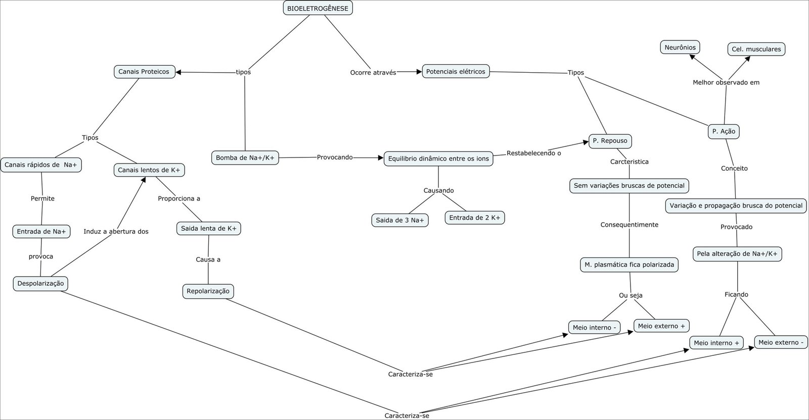 Mapa mental com BIOELETROGÊNESE no centro, ramificando-se para Neurônios e Cel musculares