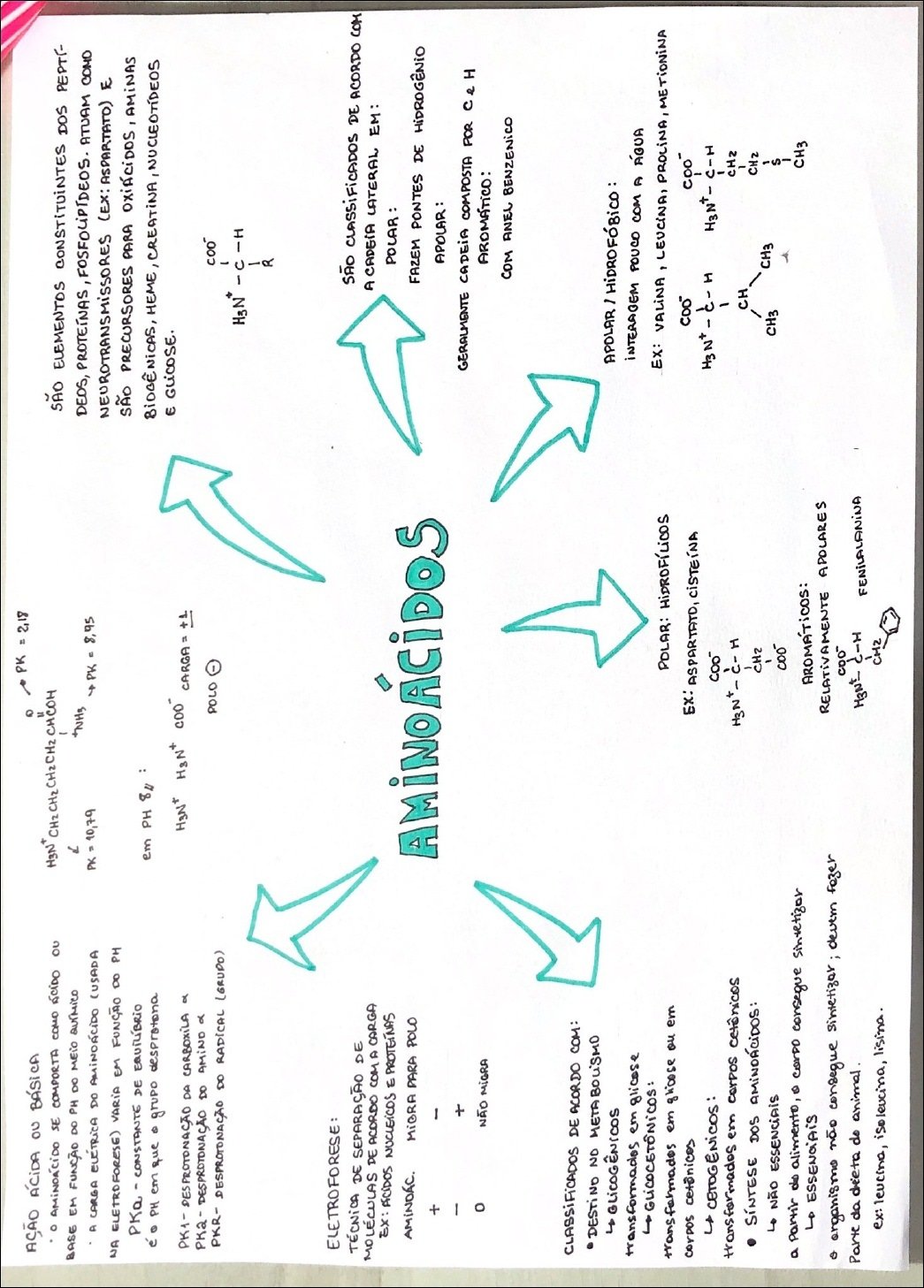 Mapa mental com AÇÃO ÁCIDA ou BÁSICA no centro, ramificando-se para AMiNOÁCiDO SE COMPORTA COMO ÁCIDO ou e BASE EM FUNÇÃO DO PH DO MEiO aurmico