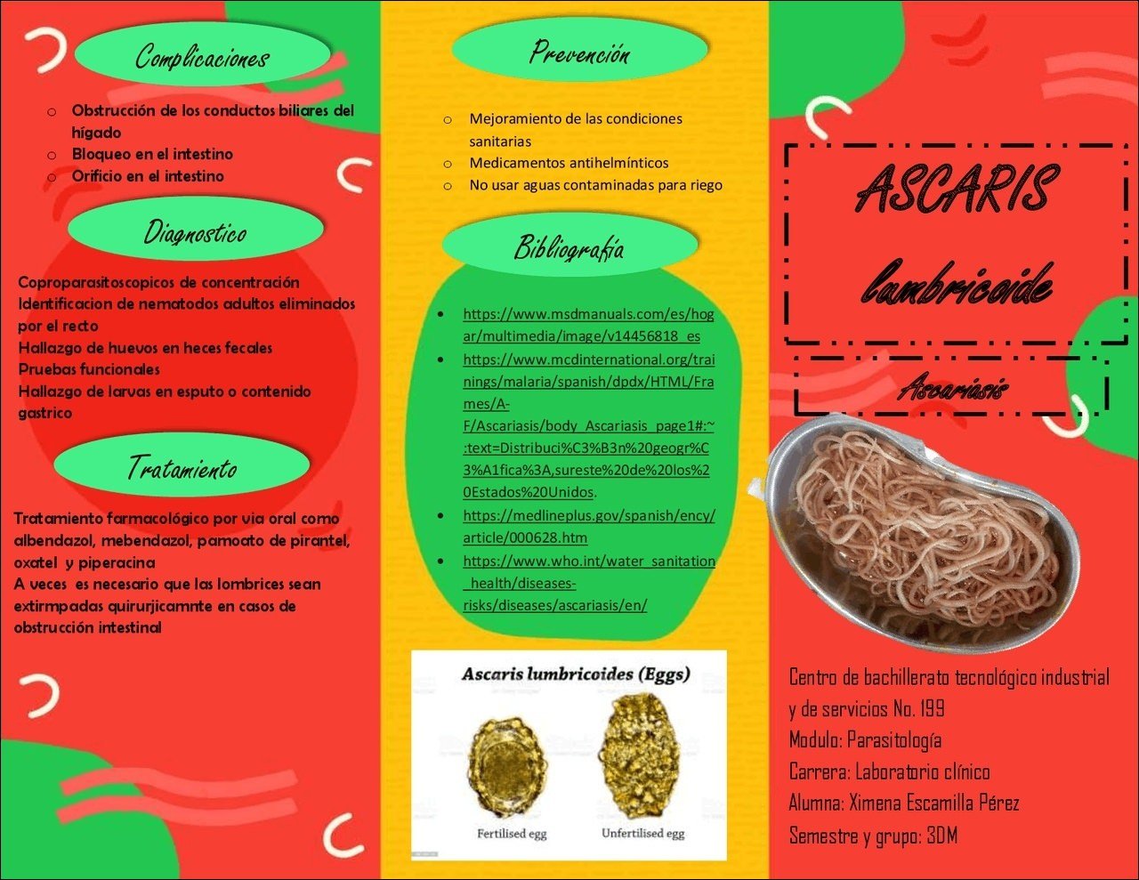 Mapa mental sobre Ascaridíase com a palavra Complicaciones no centro, ramificando-se para Prevención e Obstrucción de los conductos biliares del