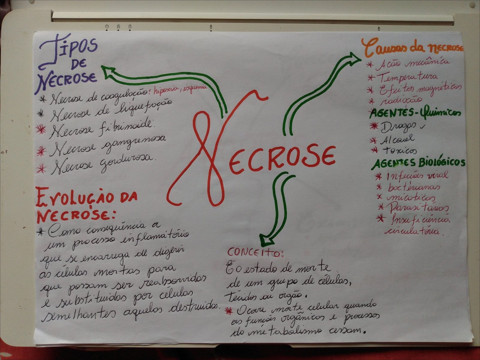 Necrose: Causas e Processos