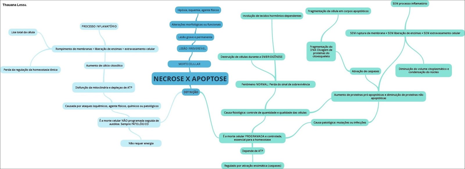 Processo Inflamatório e Morte Celular: Um Mapa Mental Detalhado