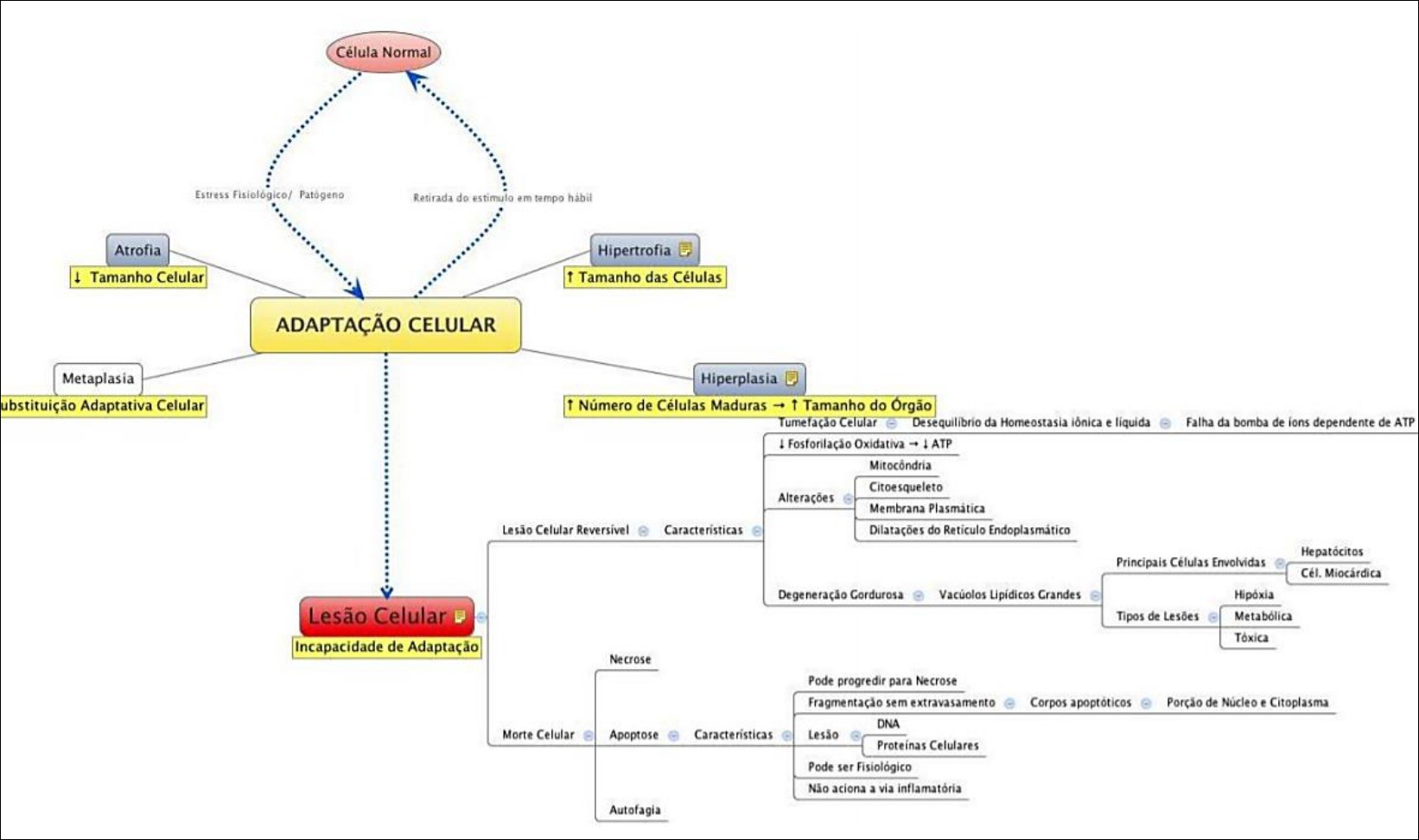 Mapa mental síndrome de Ehlers Danlos - Biologia Celular