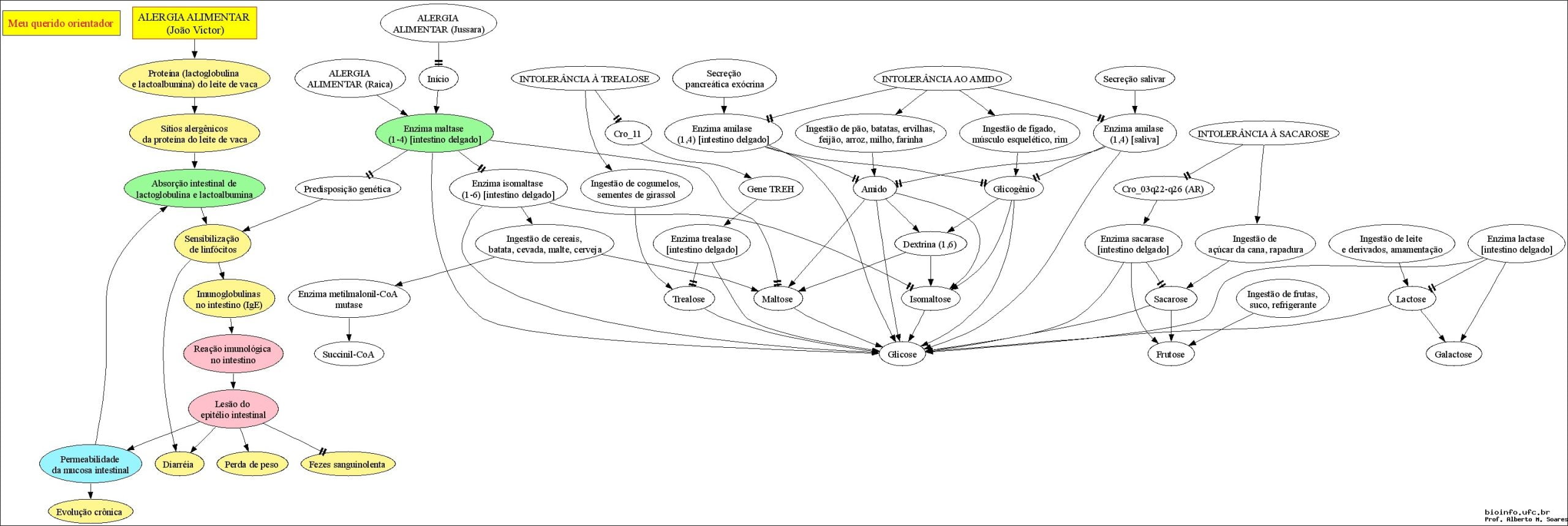 Mapa mental com ALERGIA ALIMENTAR no centro, ramificando-se para ALERGIA e Meu querido orientador