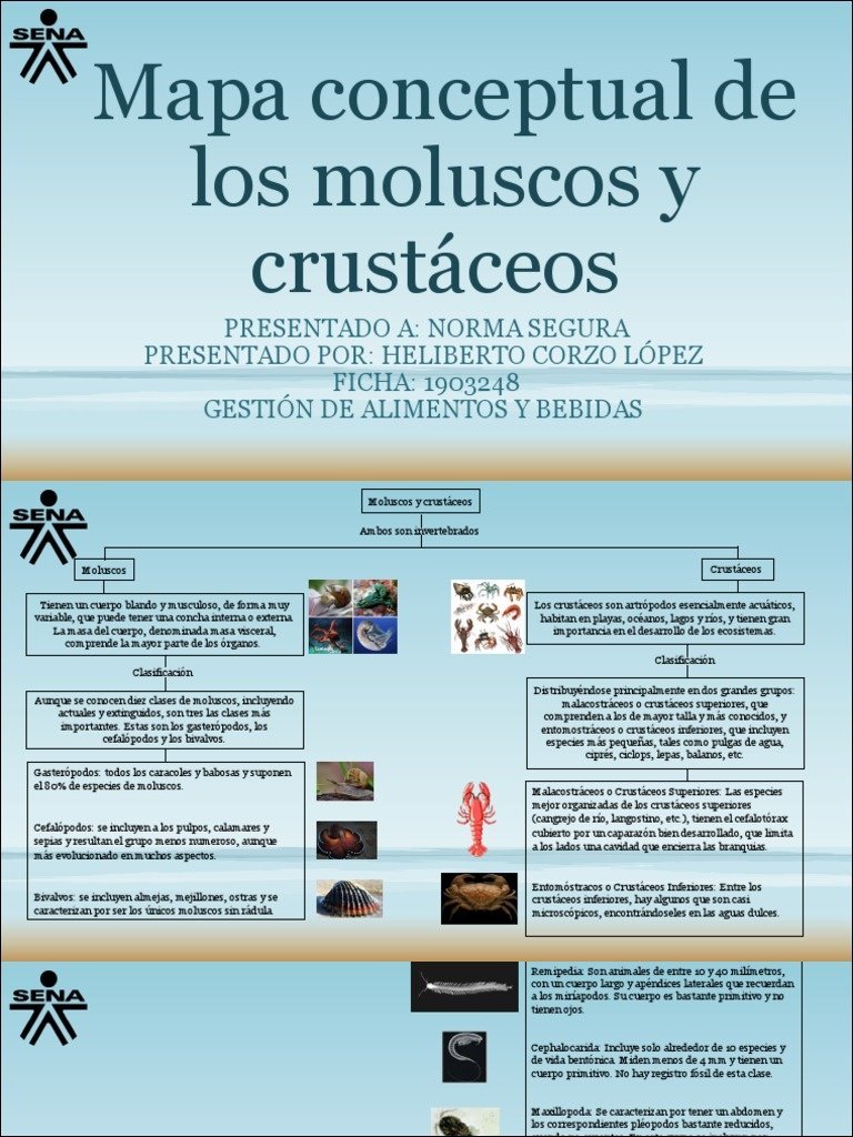 Mapa mental com palavra SENA no centro, ramificando-se para Мара conceptual de, los moluscos y, crustáceos