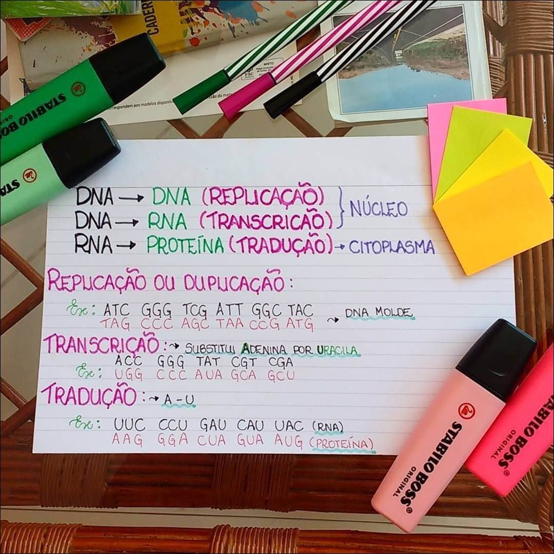 Processo de Replicação e Transcrição do DNA em Biologia