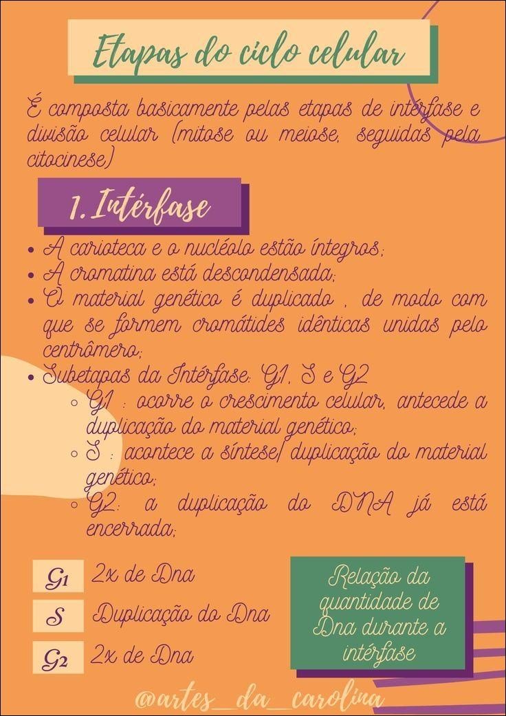 Etapas do Ciclo Celular