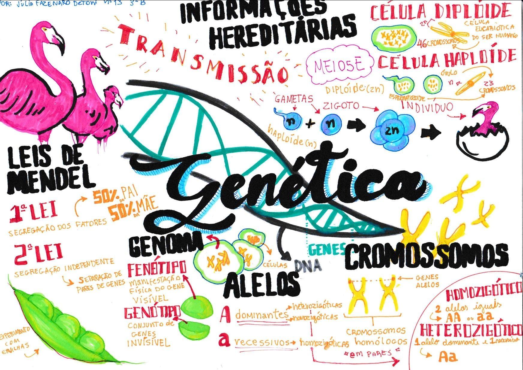 Mapas Mentais Sobre Genetica Study Maps Sexiz Pix