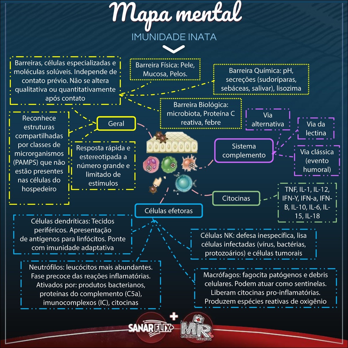 Mapas Mentais Sobre IMUNIDADE INATA - Study Maps