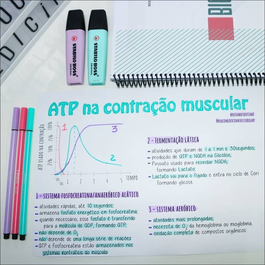 Mapa mental com BER no centro, ramificando-se para ORIGINAL e RESUMOSDOTIME