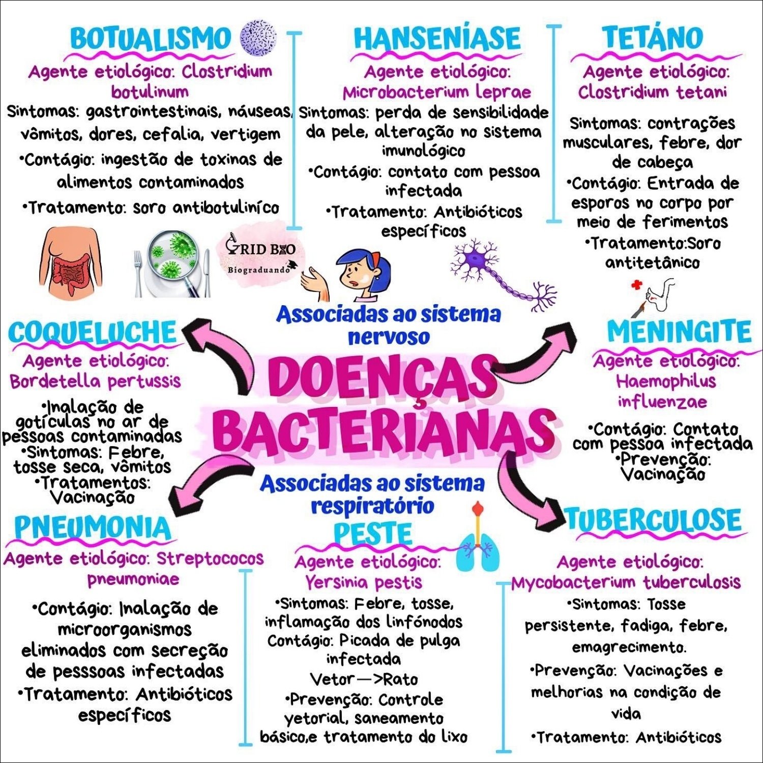 Mapas Mentais sobre DOENÇAS BACTERIANAS - Study Maps