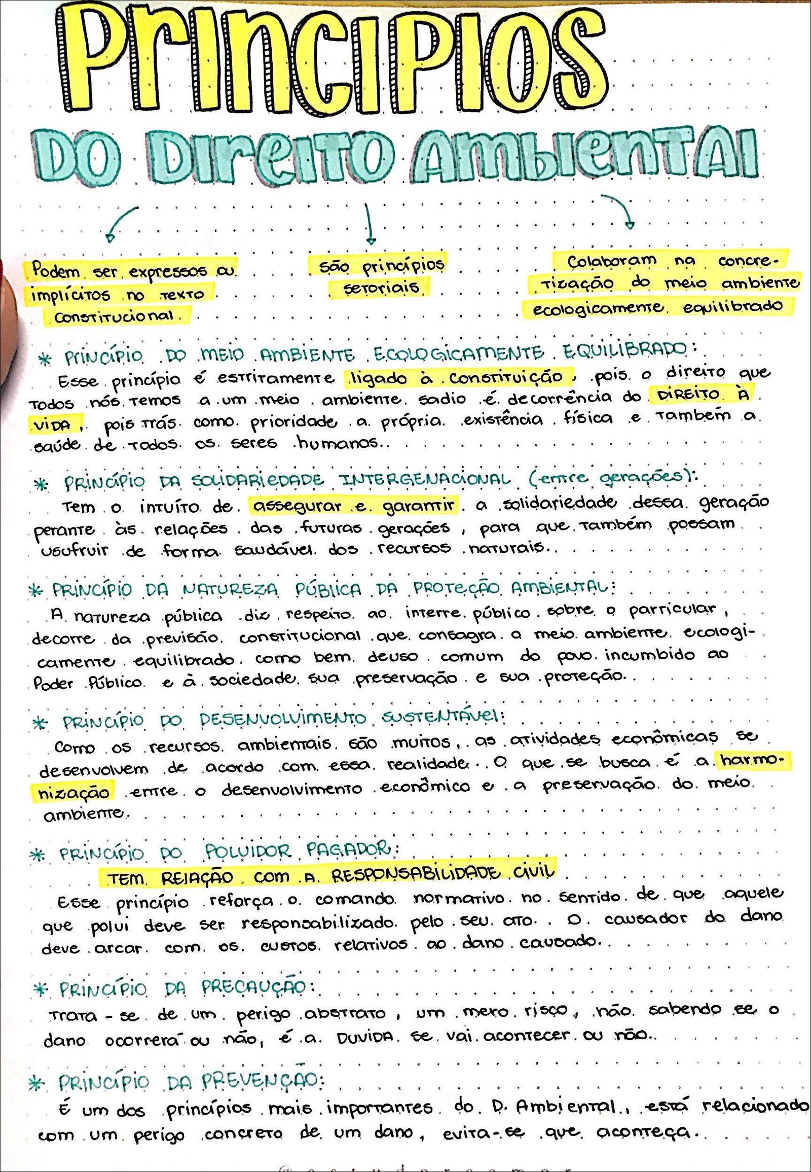 Mapa mental com Princípios no centro, ramificando-se para Do Direito Ambiental e Podem ser expressos