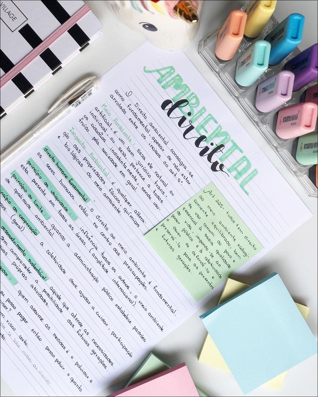 Direito Ambiental: Preservação e Equilíbrio do Meio Ambiente