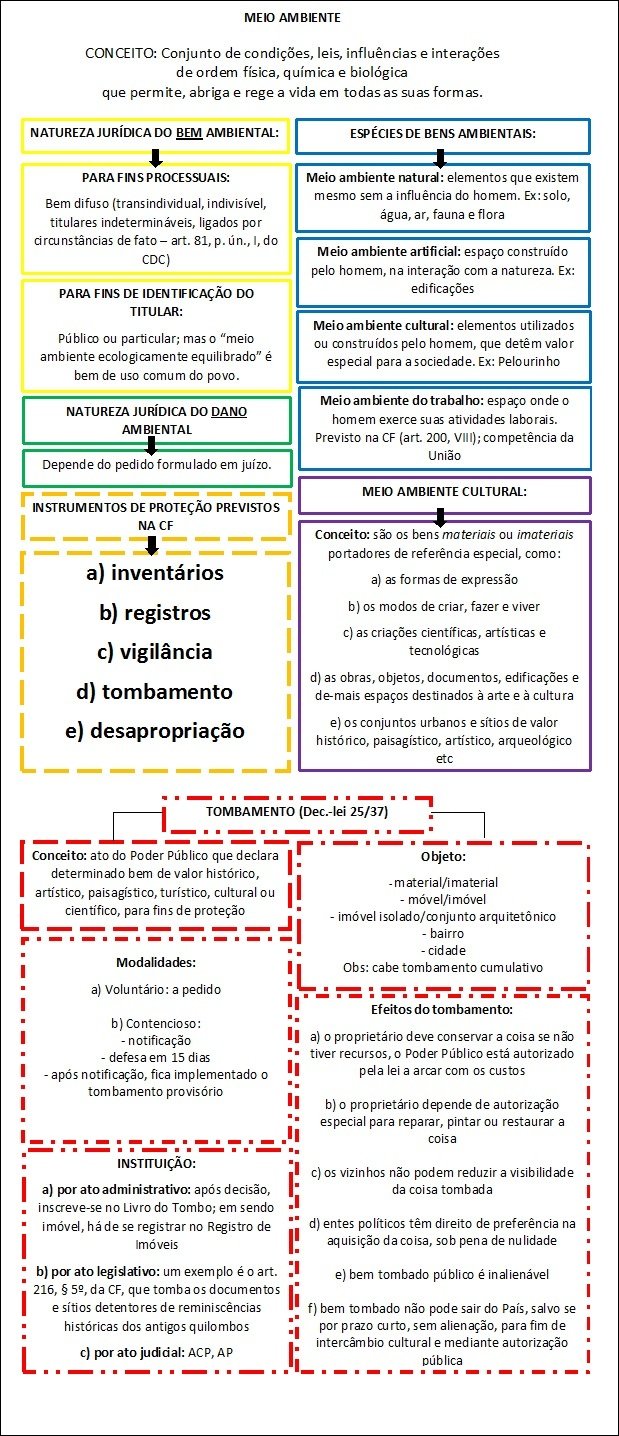Mapa mental com Meio Ambiente no centro, ramificando-se para Conceito e Natureza Jurídica do Bem Ambiental