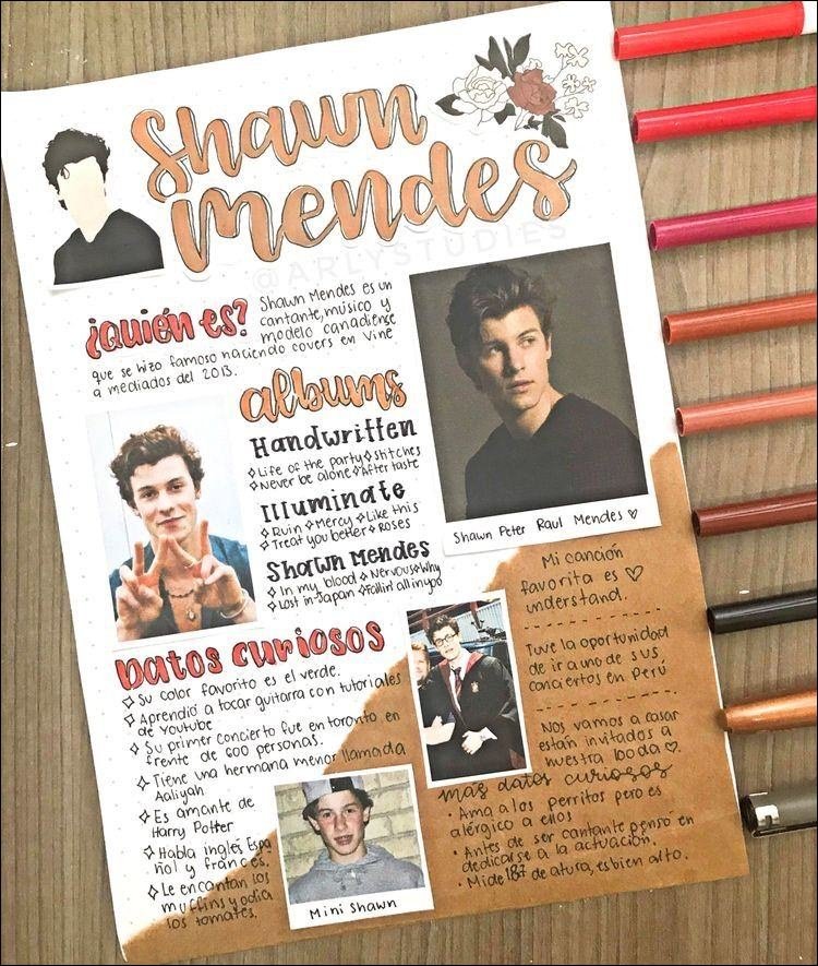 Mapa mental com Shawn no centro, ramificando-se para mendes e ¿Quién es