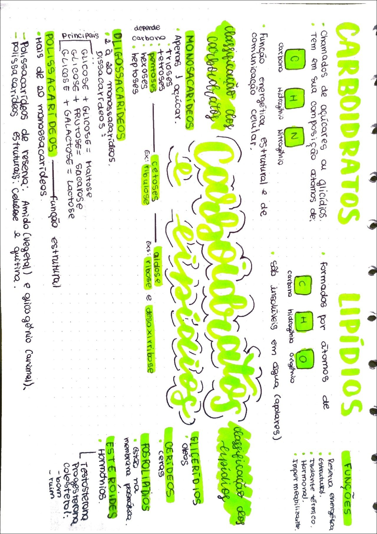 Carboidratos e Lipídios