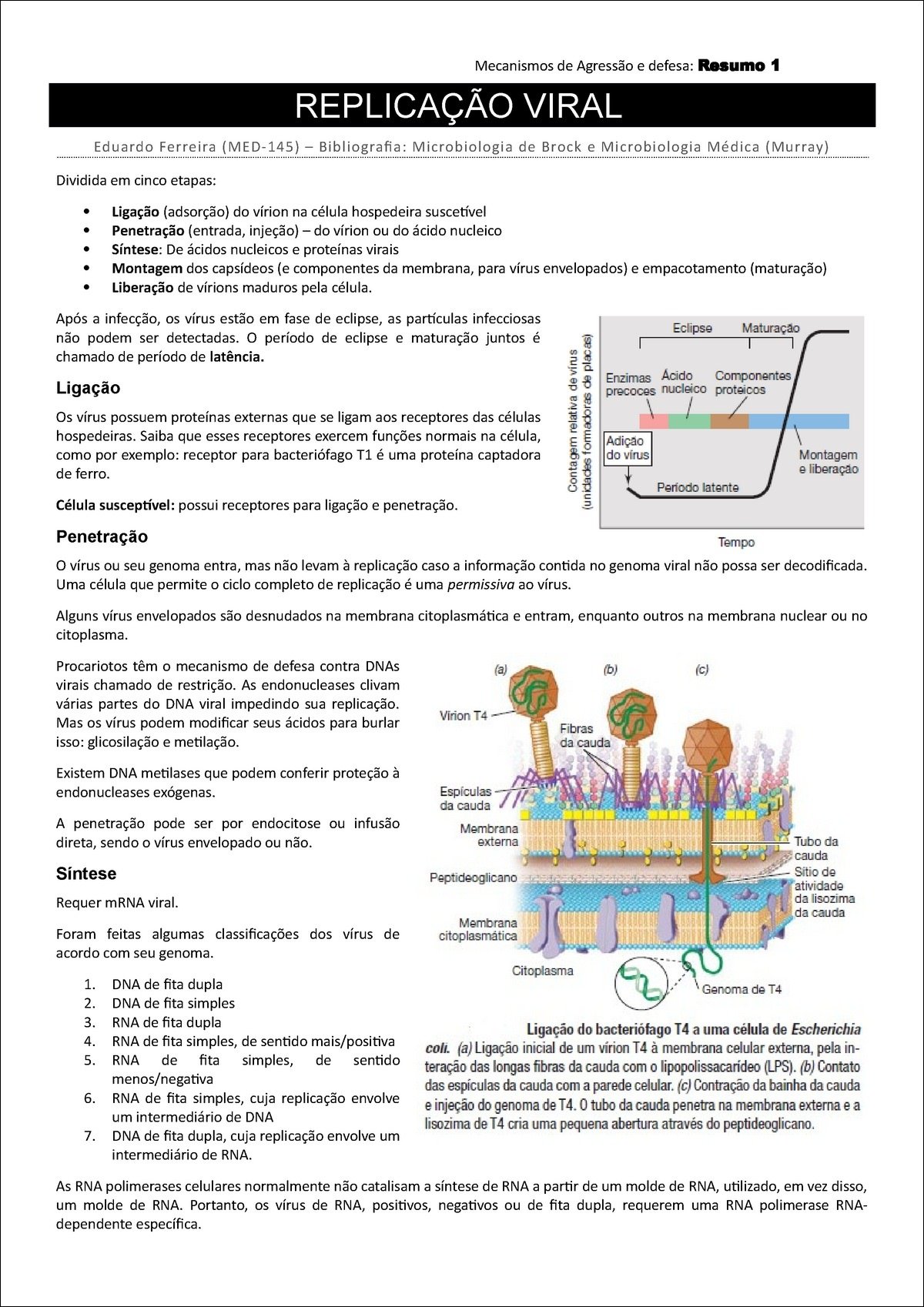 Mapa mental com Mecanismos de Agressão e defesa Resumo 1, ramificando-se para REPLICAÇÃO VIRAL e Eduardo Ferreira MED145 Bibliografia Microbiologia de Brock e Microbiologia Médica Murray