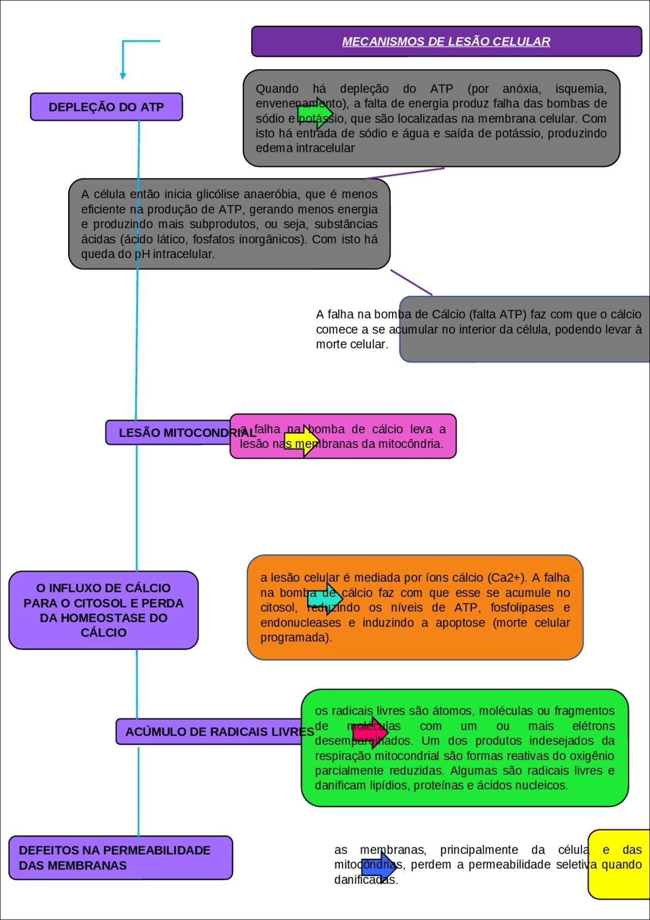 Mapa mental com MECANISMOS DE LESÃO CELULAR no centro, ramificando-se para Depleção do ATP e Falha das bombas de sódio e potássio