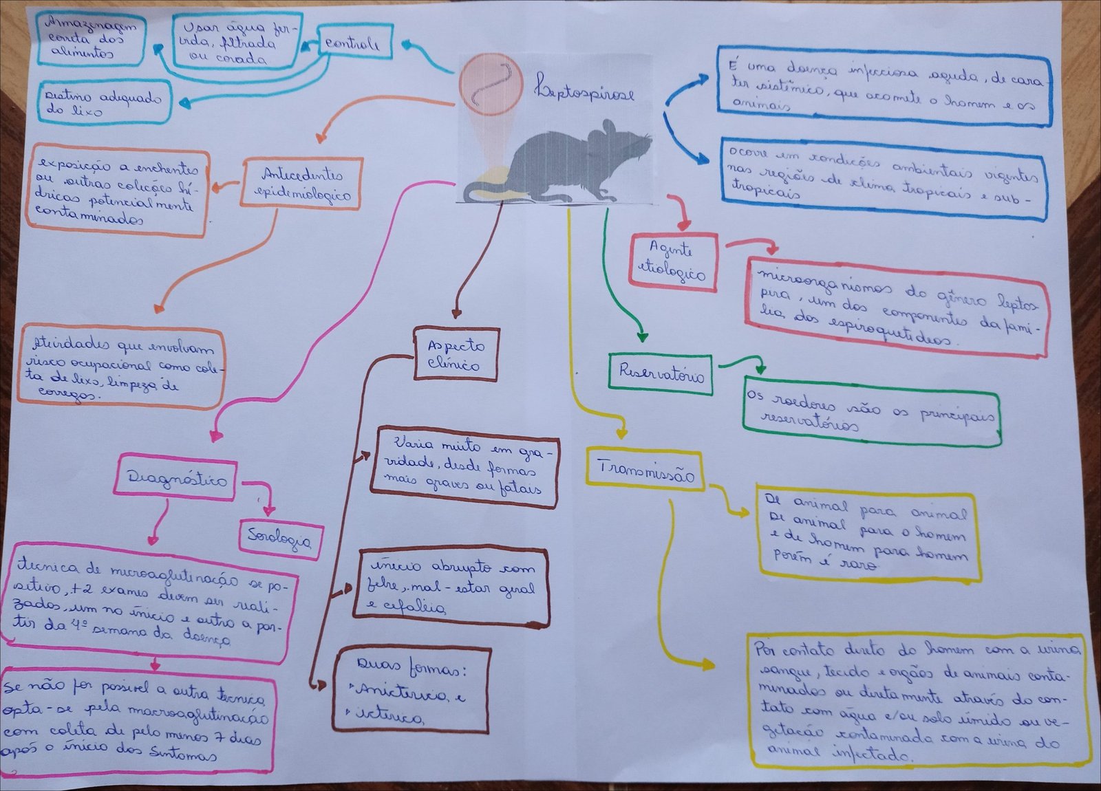 Mapa mental com Armazenagem no centro, ramificando-se para Usar áqua fer e controle