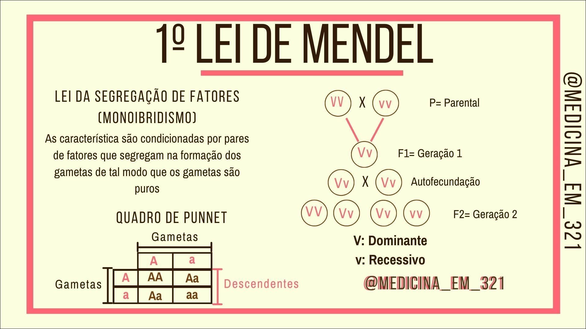 Mapas Mentais Sobre LEI DE MENDEL - Study Maps