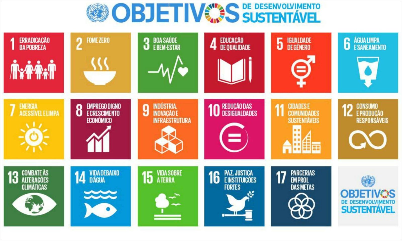 Objetivos de Desenvolvimento Sustentável (ODS)