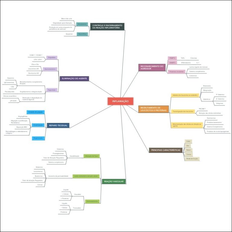 Mapas Mentais Sobre SISTEMA IMUNOLÓGICO - Study Maps