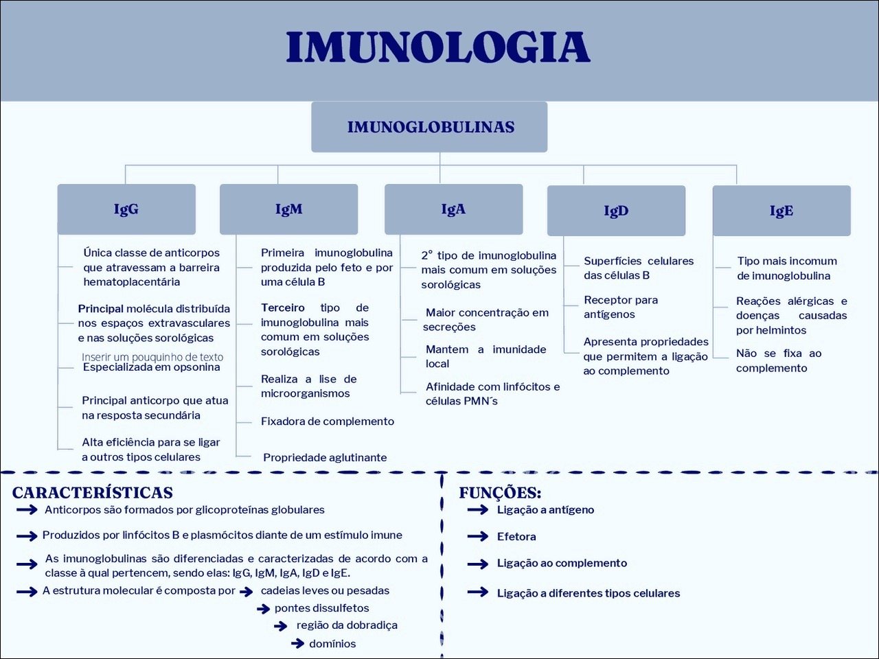 Mapa mental com Imunologia no centro, ramificando-se para Imunoglobulinas, IgG, e IgM