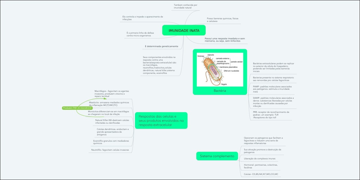 Mapas Mentais Sobre IMUNIDADE INATA - Study Maps