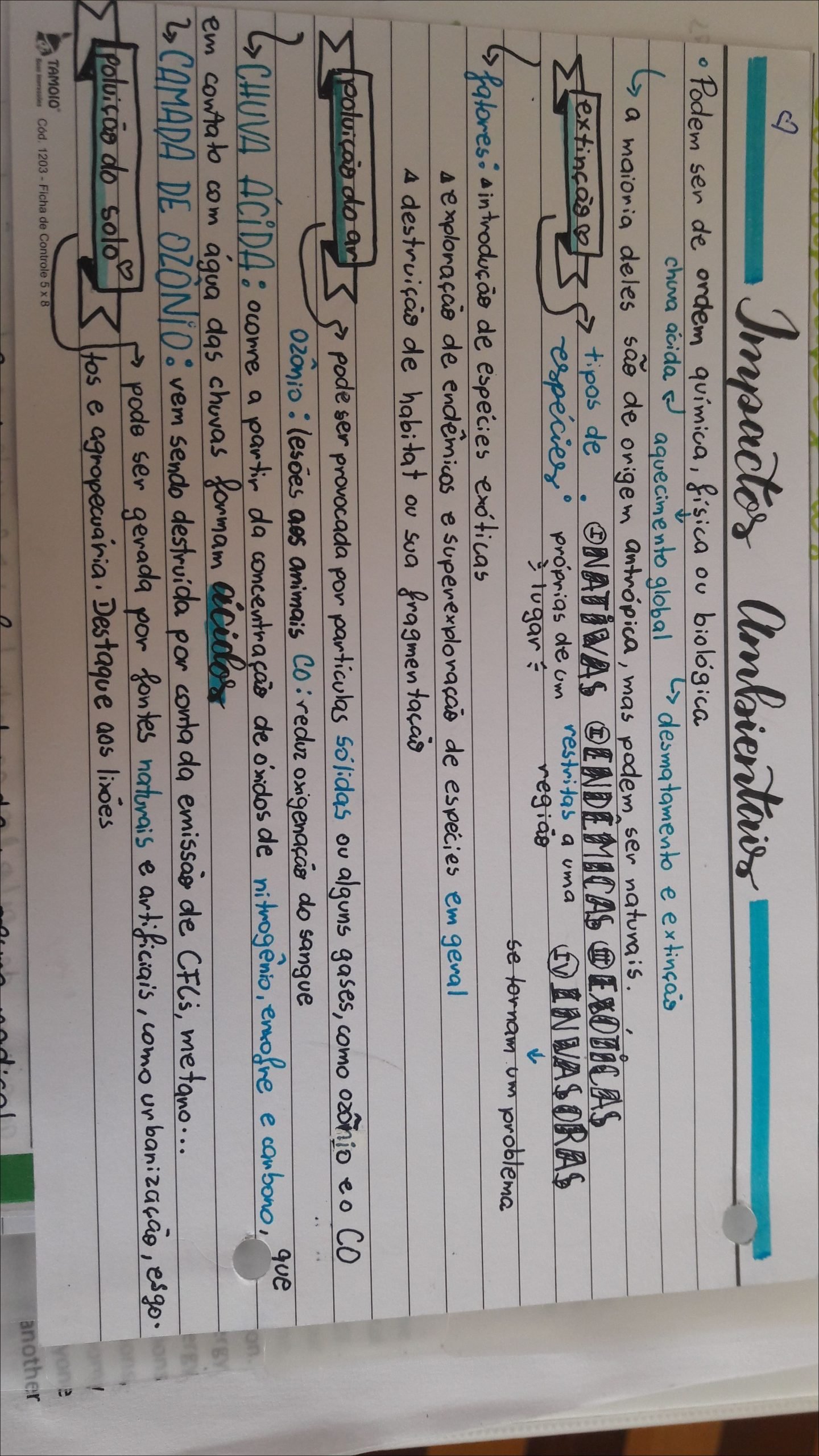 Mapa mental com Impactos ambientais no centro, ramificando-se para ordem ácida, química e física ou biológica