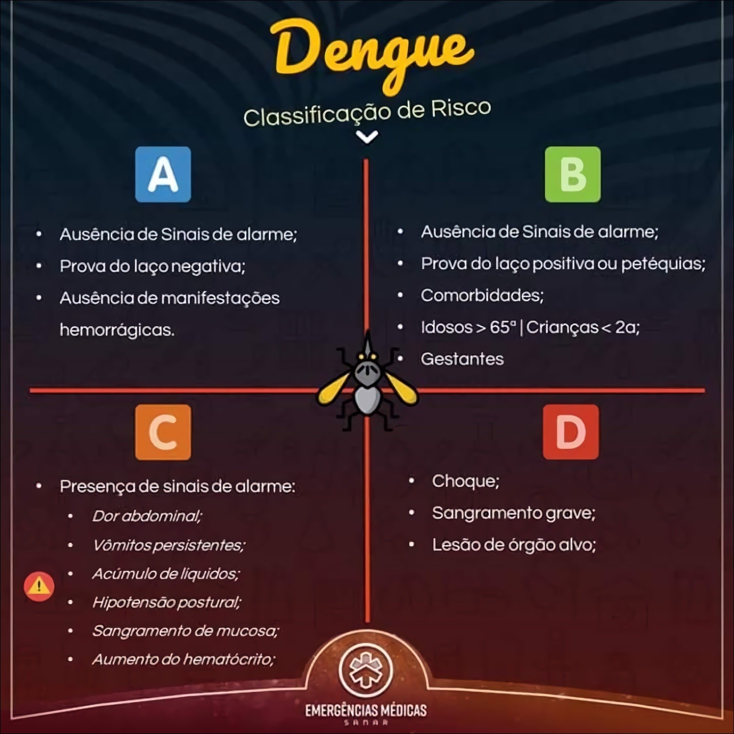 Mapas Mentais Sobre DENGUE Study Maps