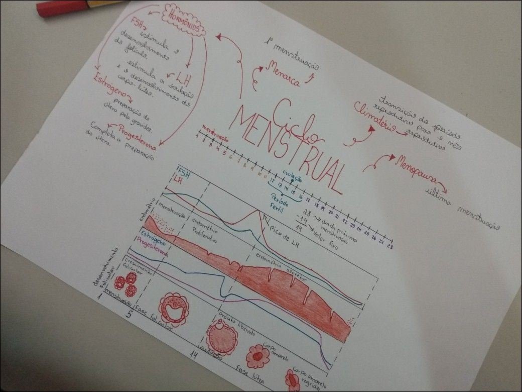 Mapa mental sobre o ciclo menstrual, com Hormônios no centro, ramificando-se para FSH e LH