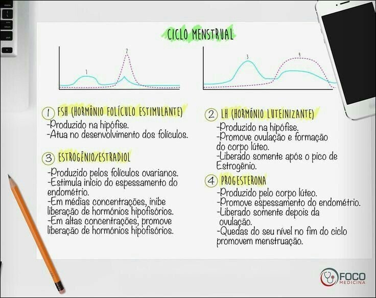 Mapa mental com Ciclo Menstrual no centro, ramificando-se para FSH Hormônio Folículo Estimulante e LH Hormônio Luteinizante