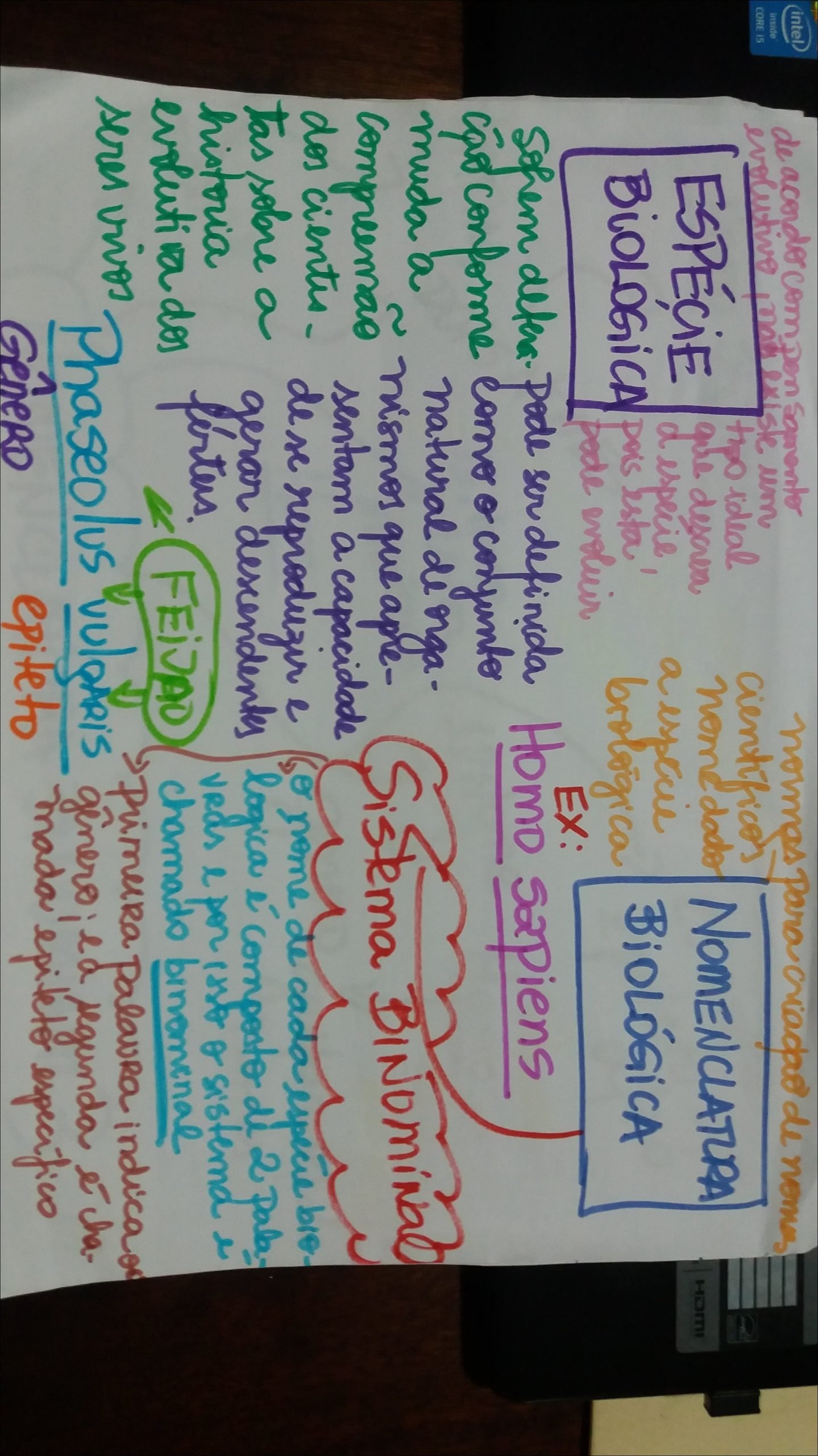 Mapa mental com Intel no centro, ramificando-se para acorder compan Samento e inside