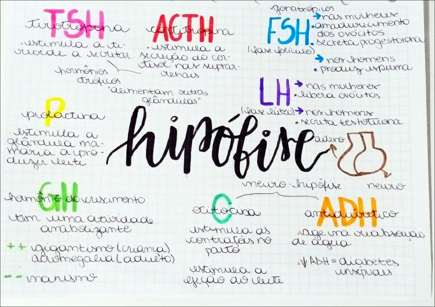Mapa mental com hipofive no centro, ramificando-se para propartina e adenoma