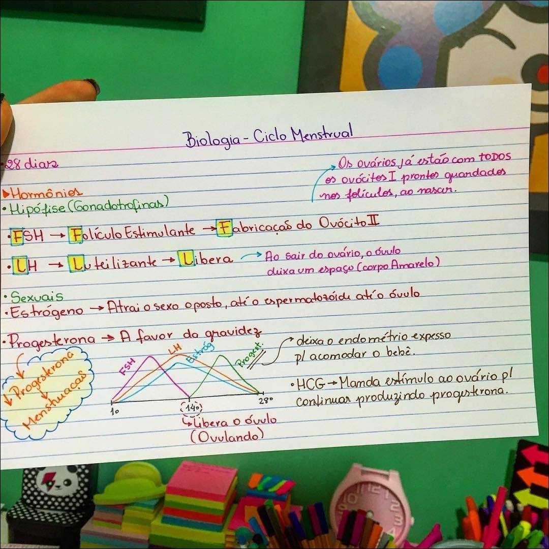 Mapa mental com Ciclo Menstrual no centro, ramificando-se para 28 dias e Os ovários já estão com TODOS