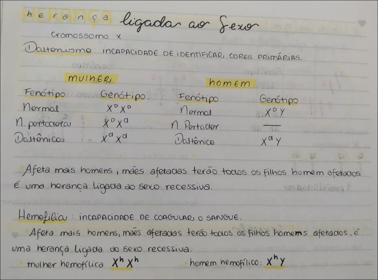 Mapa mental com HERANCA no centro, ramificando-se para Sexo e Cromossomo X