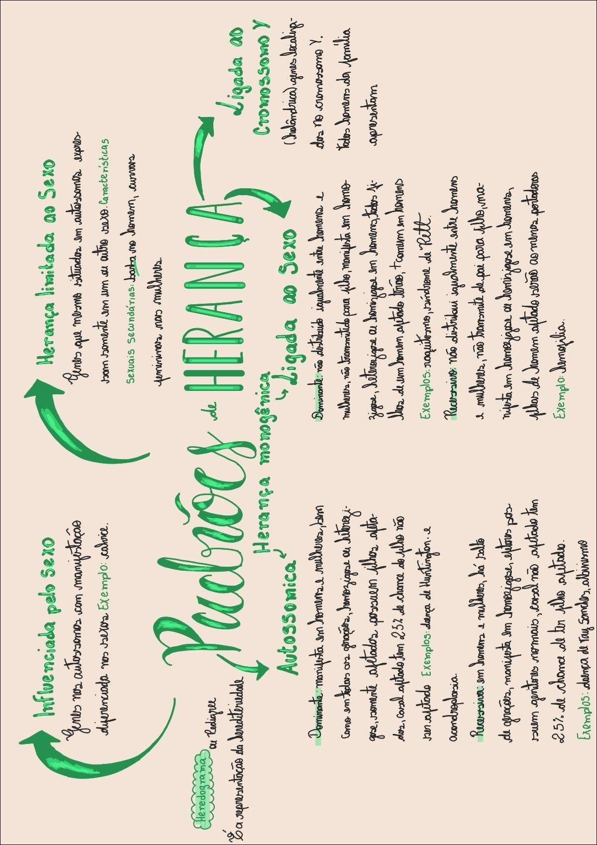 Mapa mental com Herança no centro, ramificando-se para Influenciada pelo Sexo e Herança limitada ao Sexo