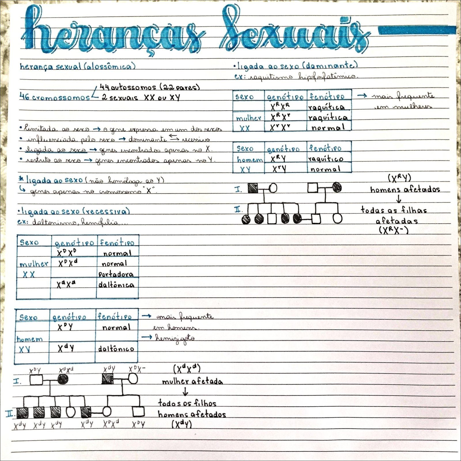 Mapa mental sobre Herança Sexual Alossômica, ramificando-se para XRXr, XRXR, XRX, XDXd, todas as filhas e Sexo